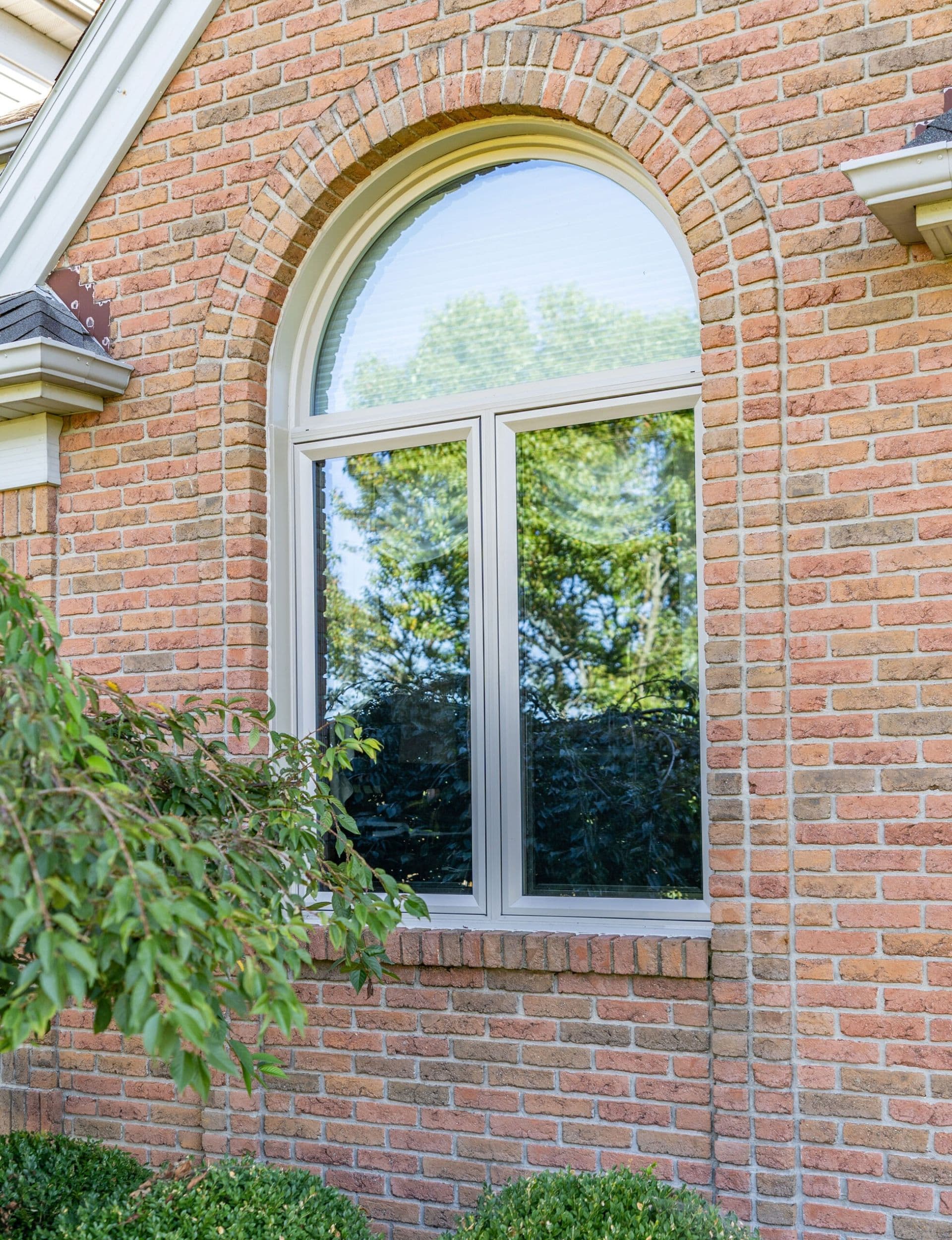 Aeris-Shaped-Window-in-Beige